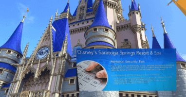 wdw personal security tips