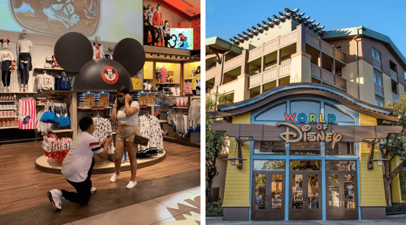 World of Disney Proposal