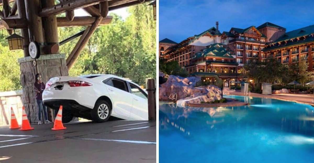 wilderness lodge car
