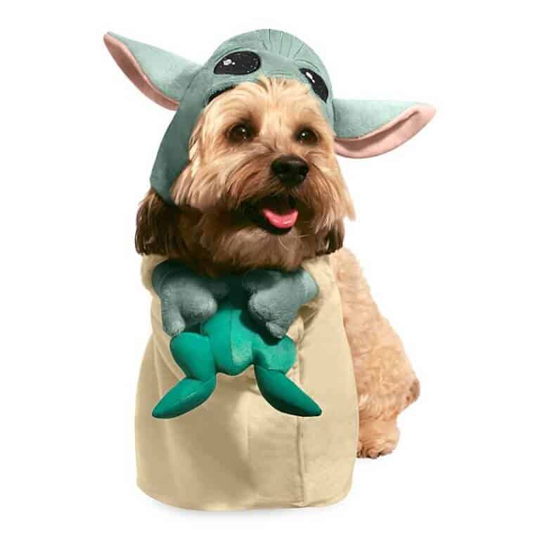 shopDisney Launches Baby Yoda Dog Costume Inside the Magic