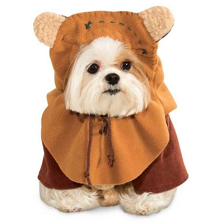 shopDisney Launches Baby Yoda Dog Costume Inside the Magic