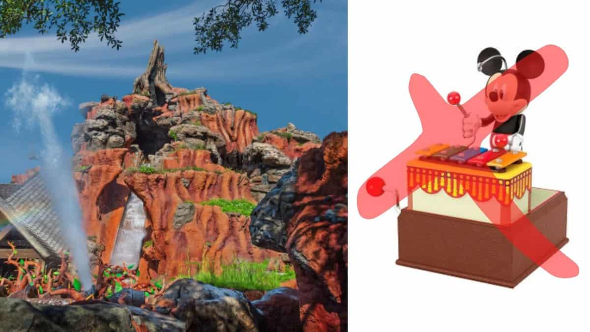 splash mountain ornament