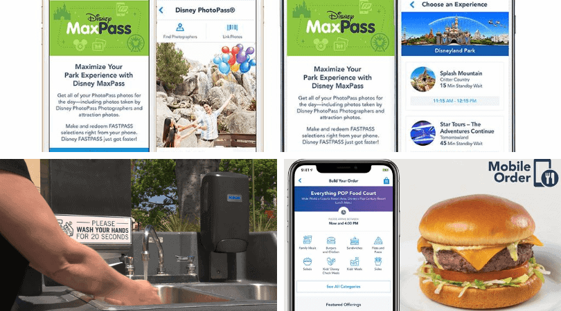 Disney Parks Measures