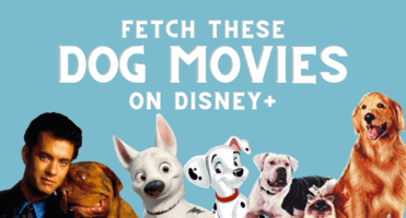 dog movies header