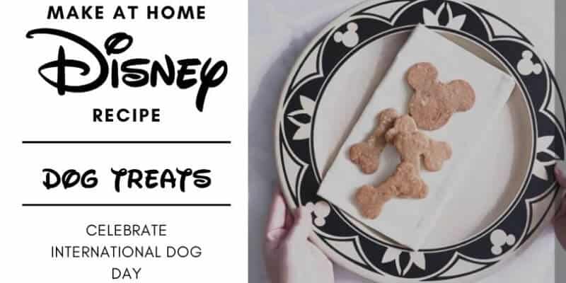 dog treats