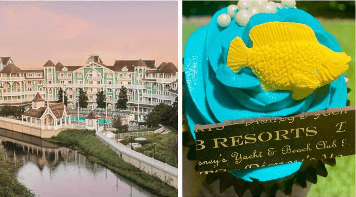 beach club cupcake header