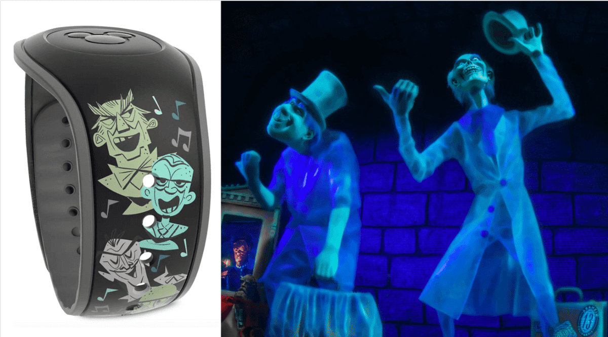 hm magic band header