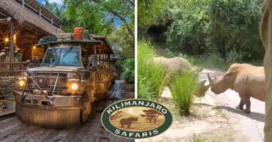 kilimanjaro safari