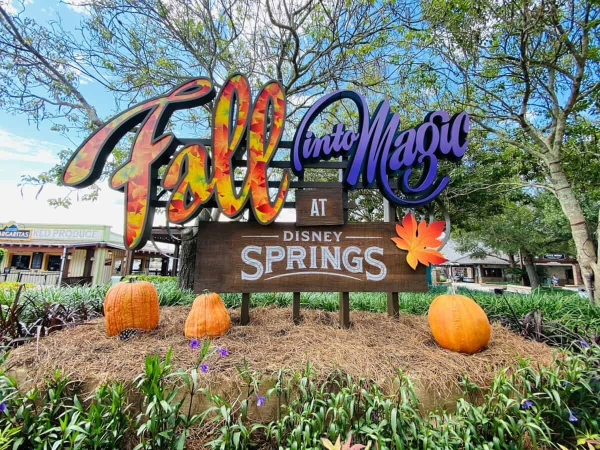 disney springs