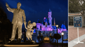 dlr health and safety header