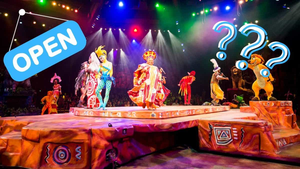 festival of the lion king