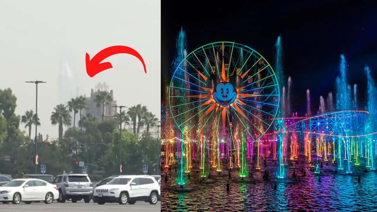 world of color testing