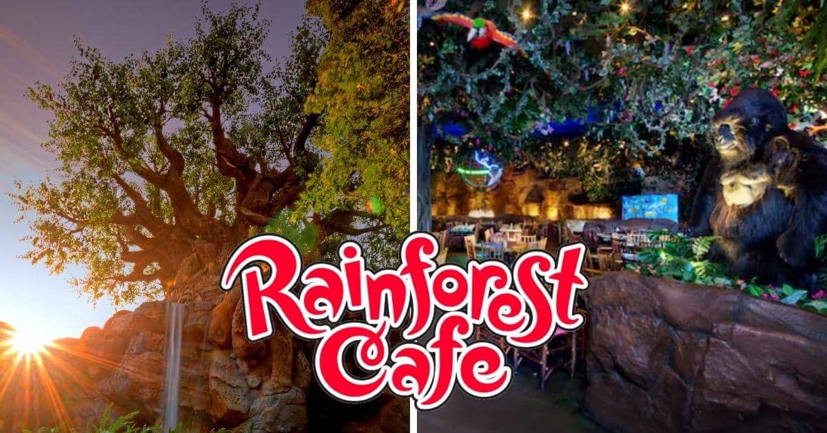 Rainforest Cafe