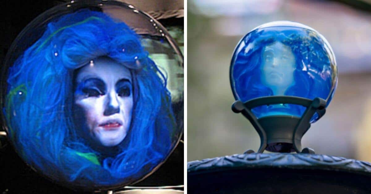 madame leota sipper