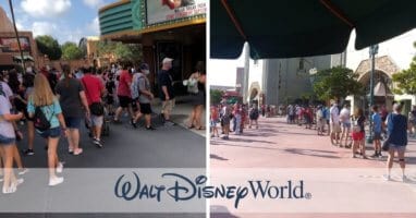 crowds disney world