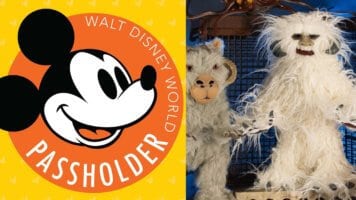 Annual pass event
