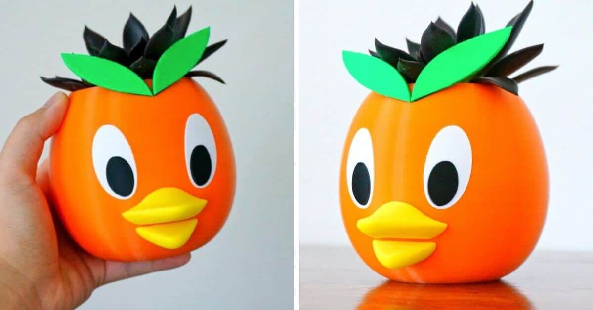 orange bird
