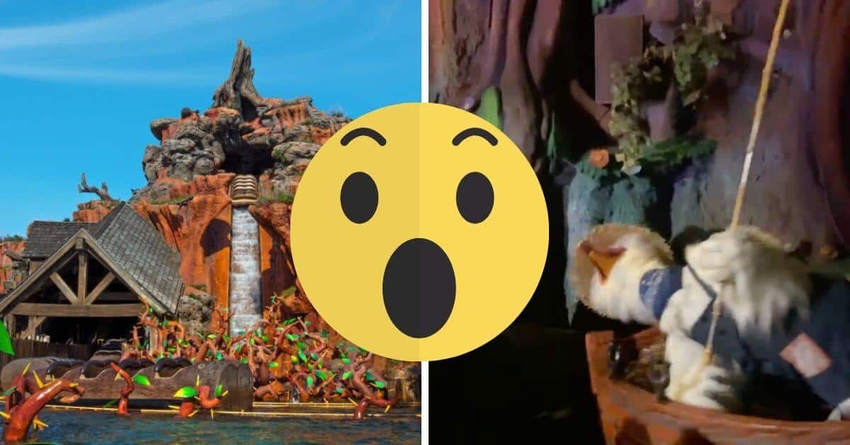 splash mountain