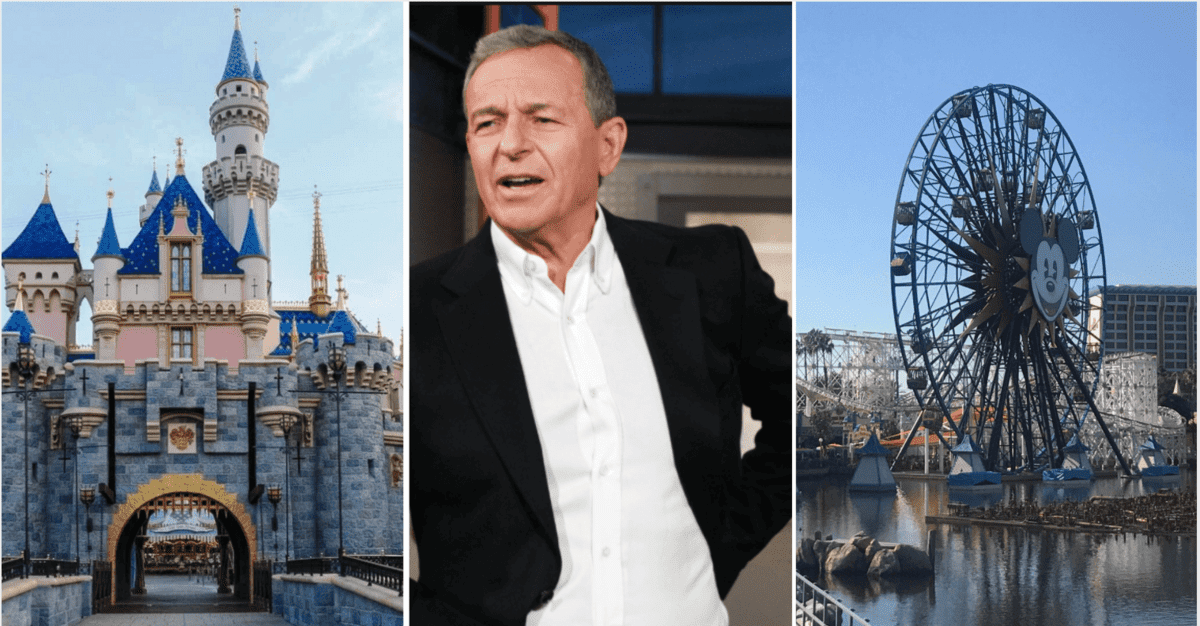 iger quits task force