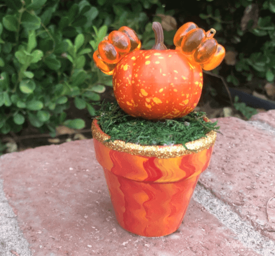 disney halloween succulent