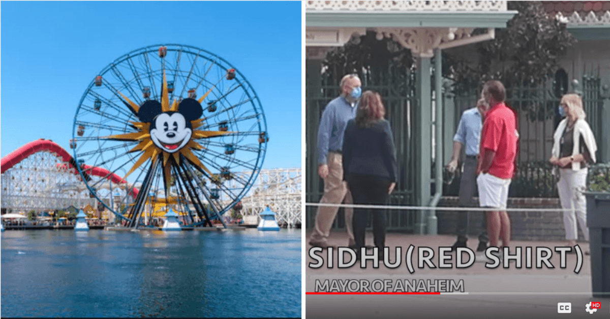 harry sidhu disneyland
