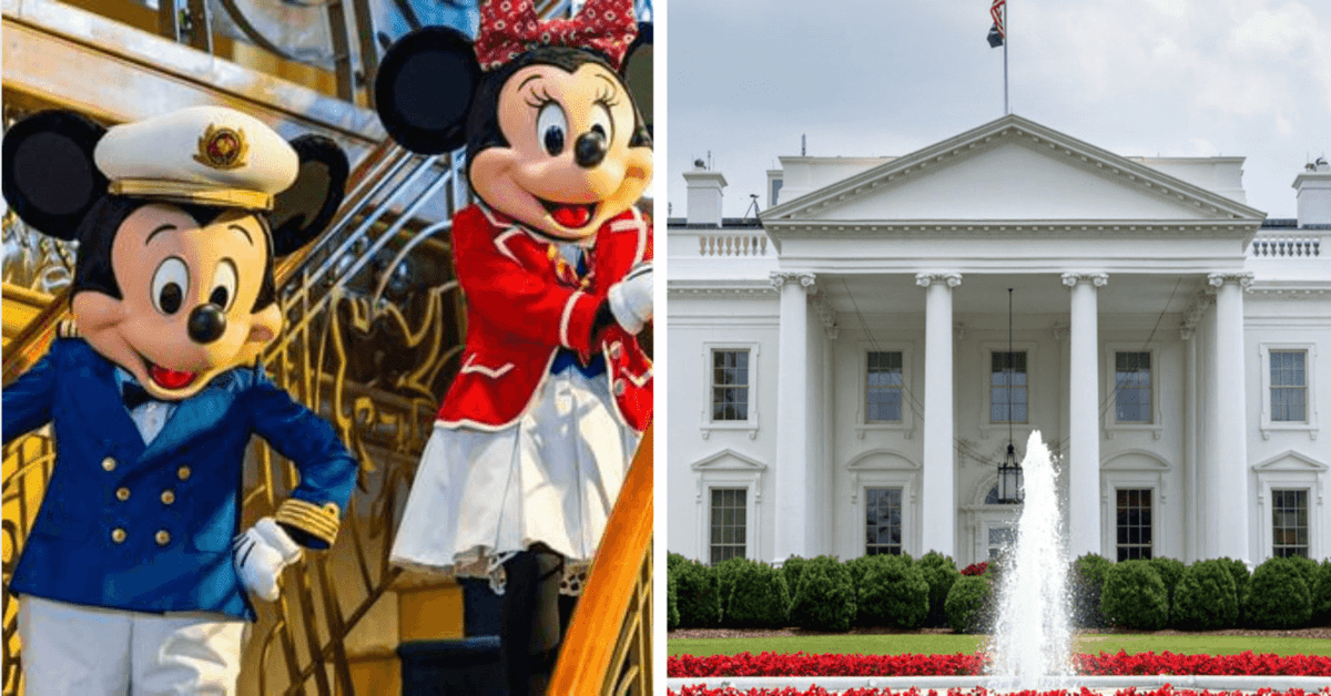 dcl white house