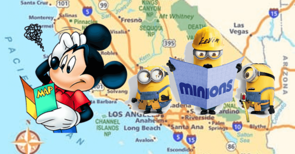 disney universal confusion