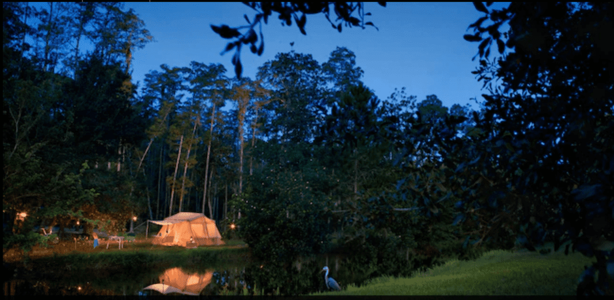 Campsite at Disney's Fort Wilderness Resort