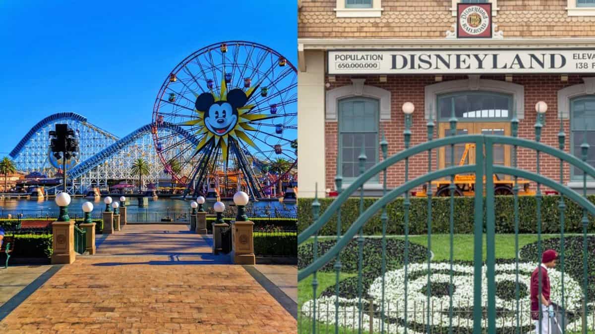 Disney Amusement Park