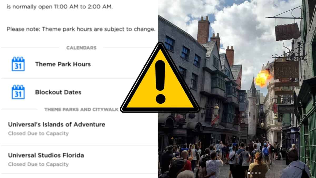 Park Calendar (Left) Crowd inside Park (Right)