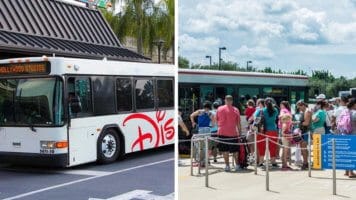 People Falling in Line waiting for Disney Bus