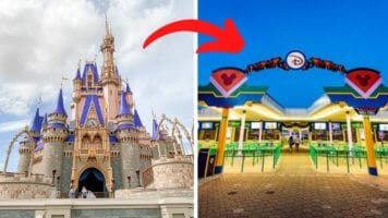 Sleeping Beauty Castle & Disney World TTC