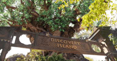 Discovery Island feature photo