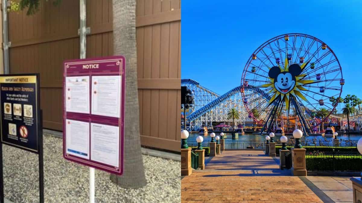 Signage of Disneyland