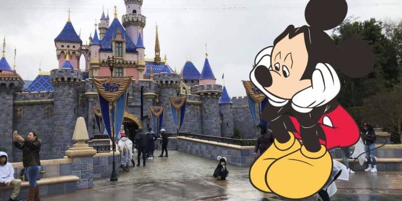 A group of people at Disneyland