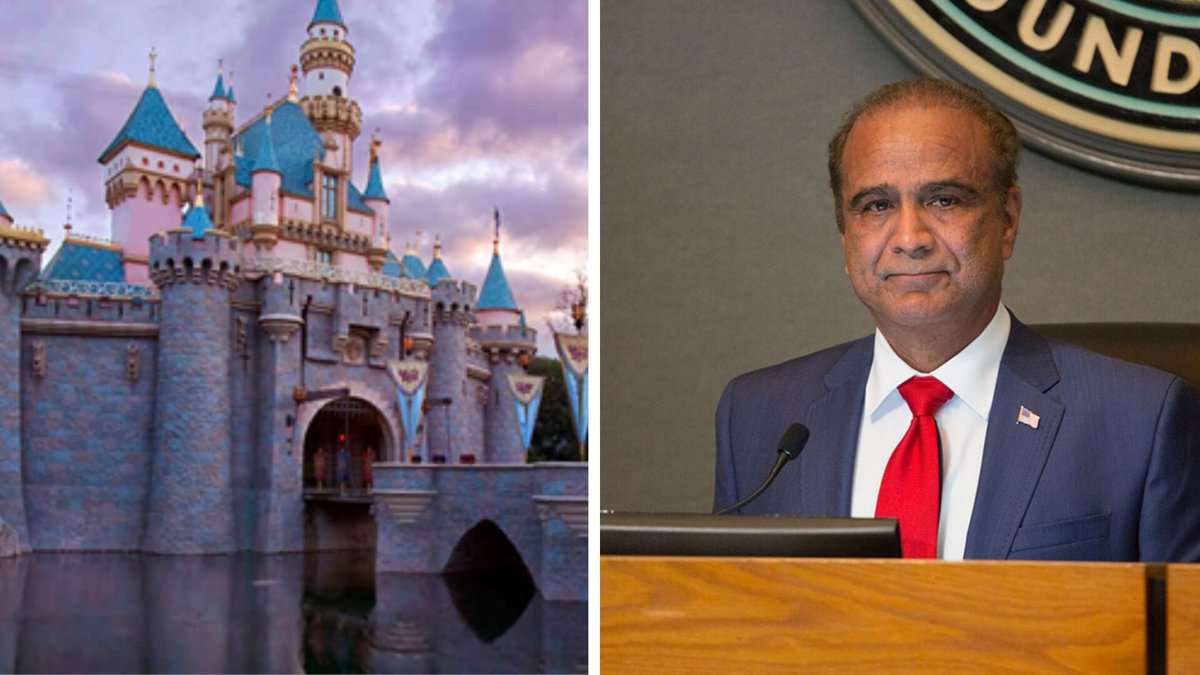 Harry Sidhu(Right) Magic Kingdom (Left)