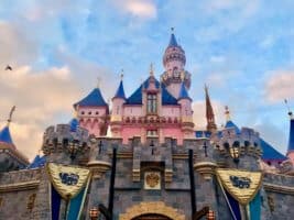 Disney Parks Medical Officer Responds to Newsom