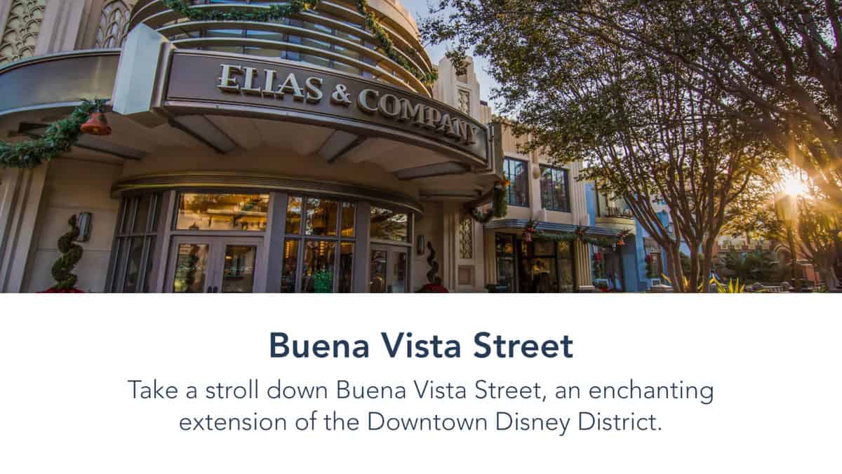 Buena vista street