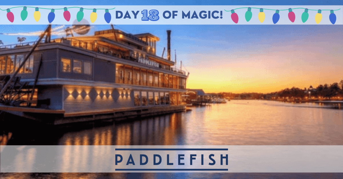 Paddlefish at sunset