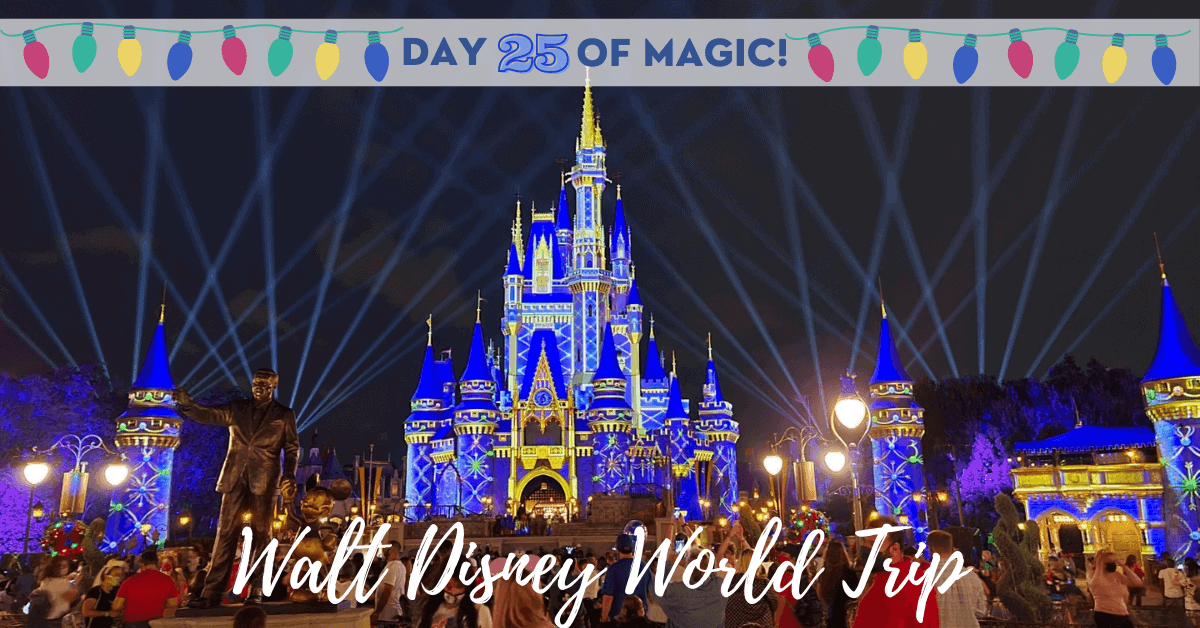 Holiday Cinderella Castle at night