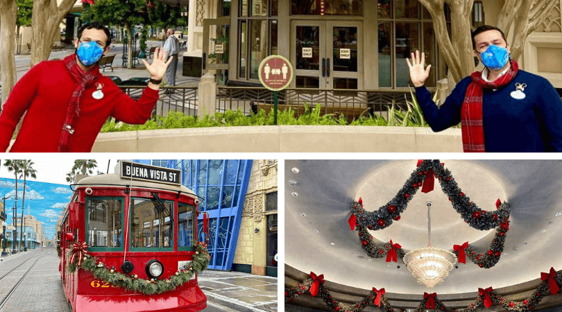 Disneyland Ambassadors on BVS