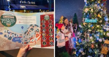 disney christmas tree trail