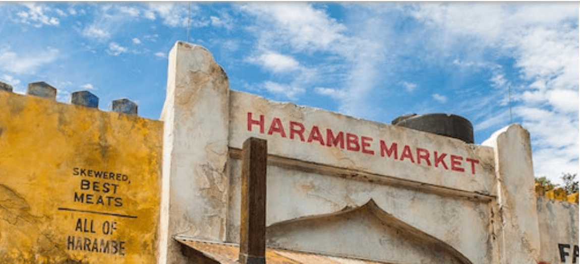 Disney's Animal Kingdom