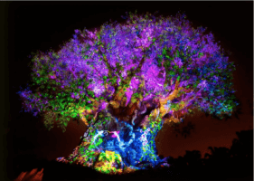Tree of Life Awakenings