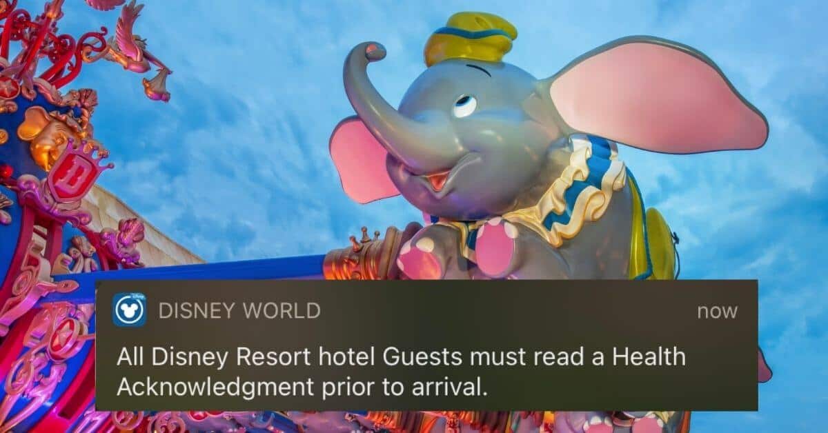 A Notification from Walt Disney World