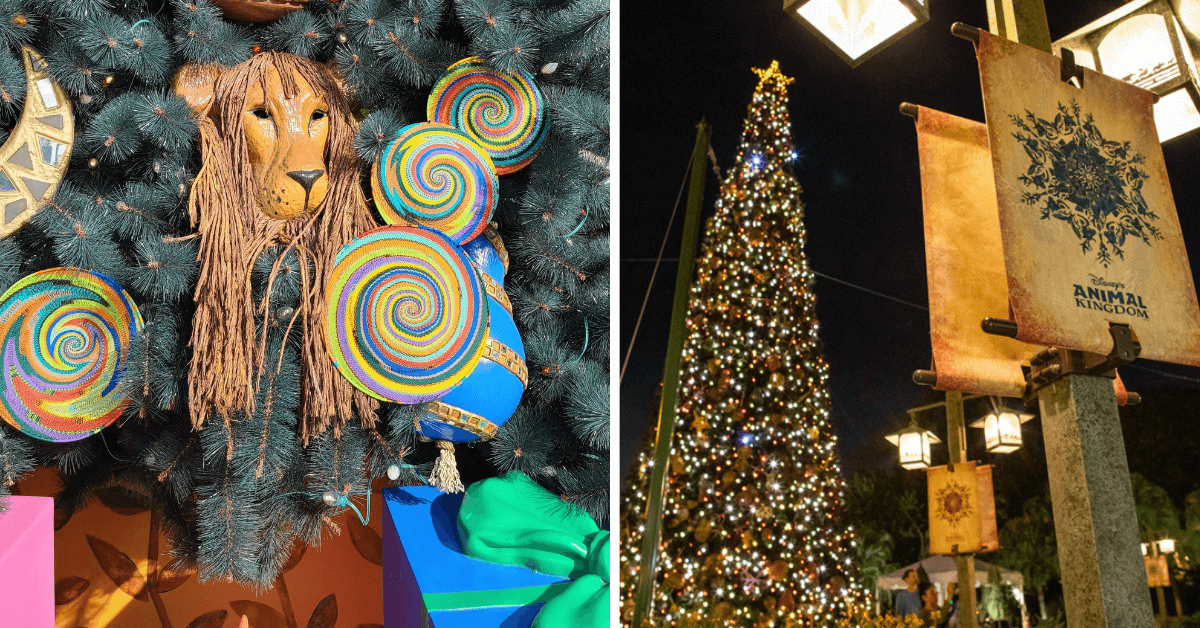 disneys animal kingdom holiday