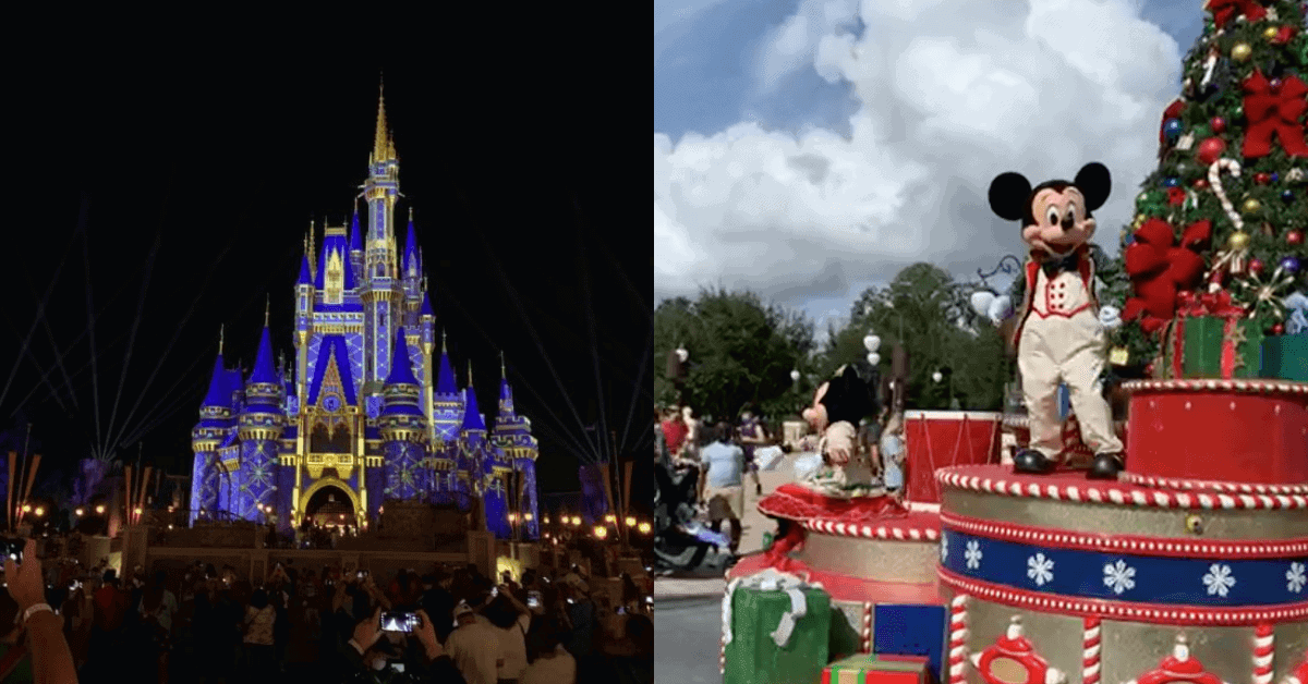 Disney World Entertainment