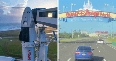 Disney World Traffic