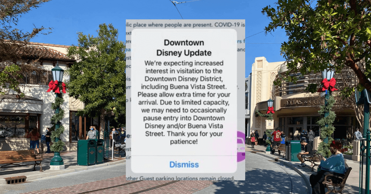 disneyland resort capacity warning