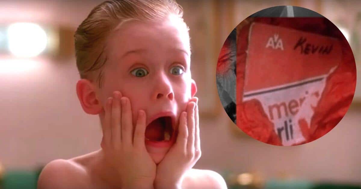 Home Alone Character